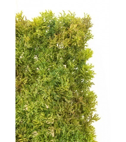 Plaque de mousse artificielle anti-UV