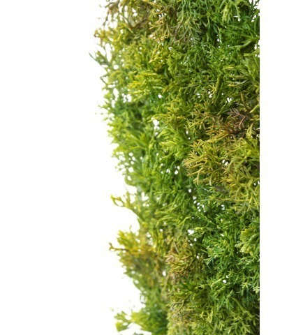 Plaque de mousse artificielle anti-UV