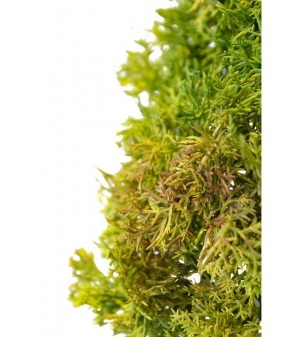 Plaque de mousse artificielle anti-UV