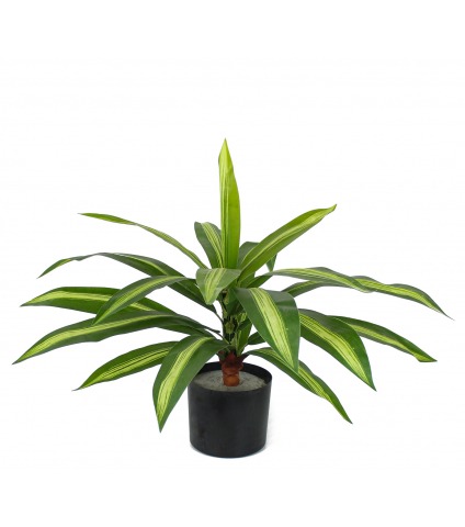 Dracaena vert panaché artificiel