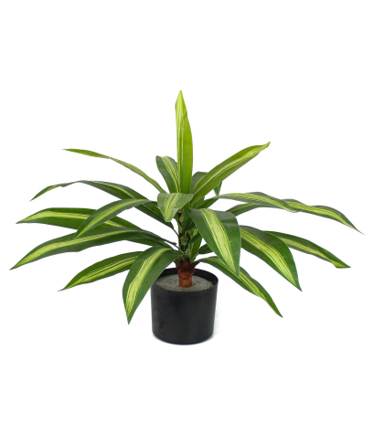 Dracaena vert panaché artificiel