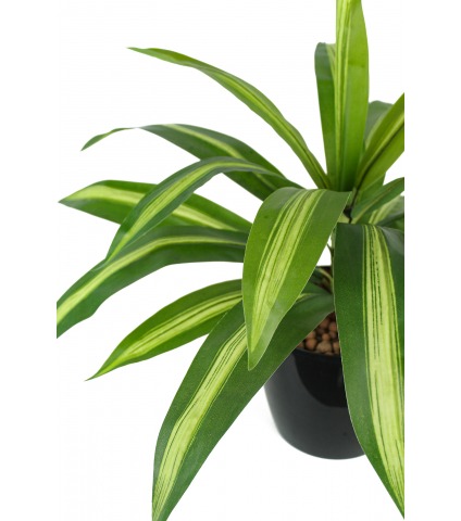 Dracaena vert panaché artificiel