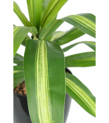 Dracaena vert panaché artificiel