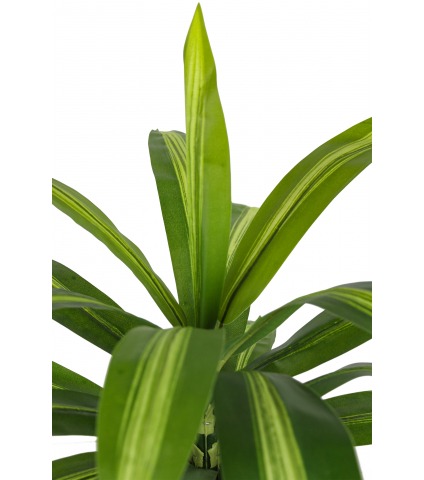 Dracaena vert panaché artificiel