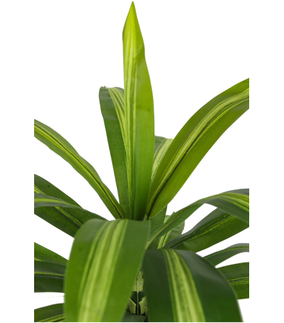 Dracaena vert panaché artificiel