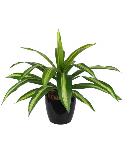 Dracaena vert panaché artificiel