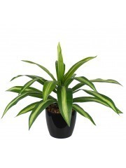 Dracaena vert panaché artificiel