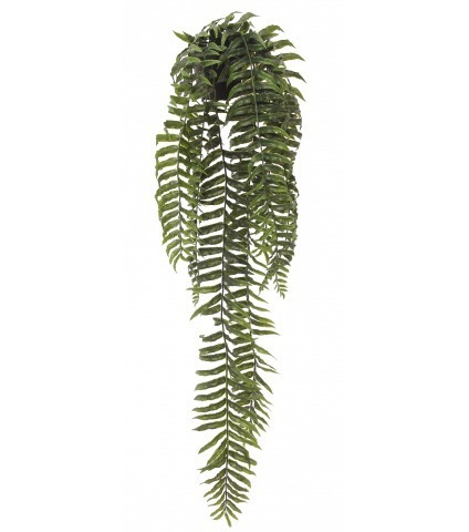 Fougère cordifolia artificielle en pot