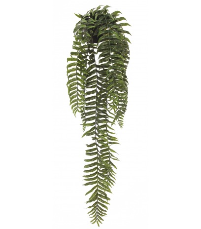 Fougère cordifolia artificielle en pot