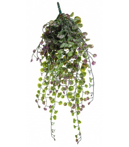 Chute de dichondra artificiel vert et mauve