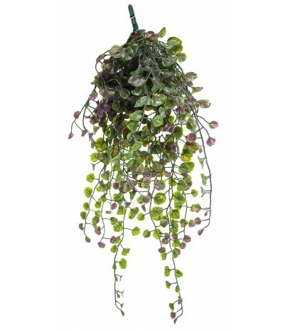 Chute de dichondra artificiel vert et mauve