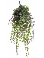 Chute de dichondra artificiel vert et mauve