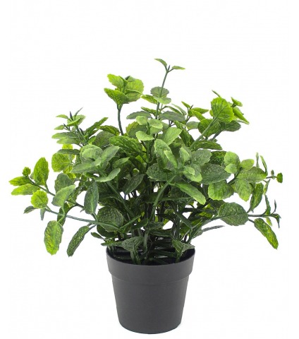Herbe aromatique artificielle menthe