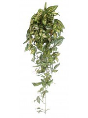 Tradescantia artificiel tombant