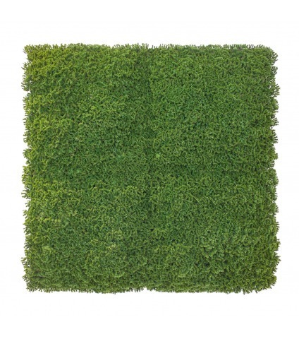 Plaque de mousse artificielle sphaigne