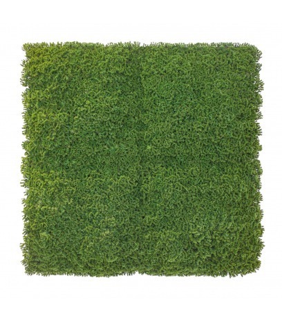 Plaque de mousse artificielle sphaigne