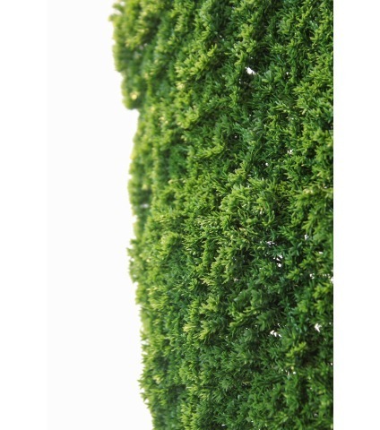 Plaque de mousse artificielle sphaigne