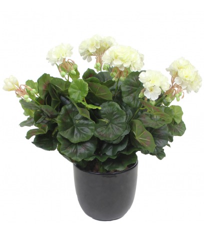 Géranium artificiel blanc