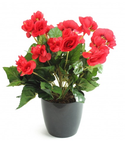Bégonia artificiel rouge