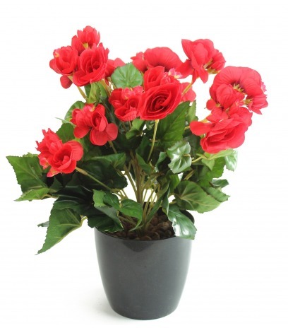 Bégonia artificiel rouge
