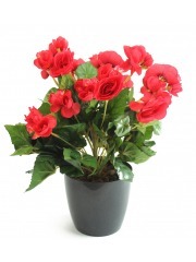 Bégonia artificiel rouge