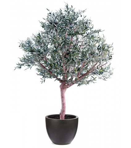 Olivier large artificiel