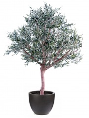 Olivier large artificiel