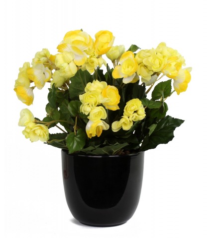 Bégonia artificiel jaune