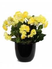 Bégonia artificiel jaune
