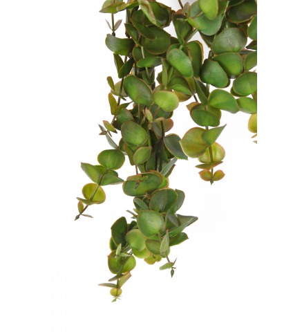 Eucalyptus artificiel tombant automnal