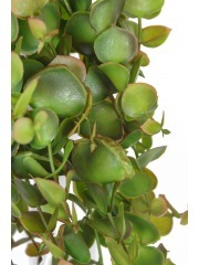 Eucalyptus artificiel tombant automnal