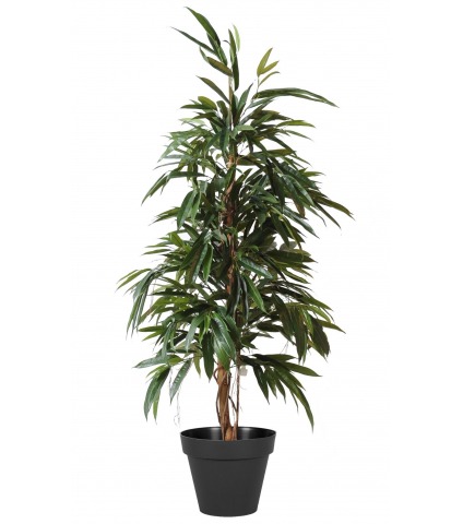 Ficus artificiel longues feuilles