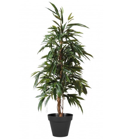 Ficus artificiel longues feuilles