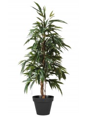 Ficus artificiel longues feuilles