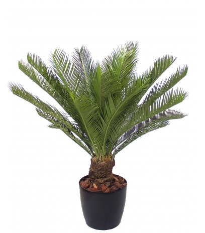 Cycas artificiel sur tronc