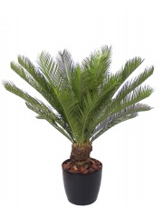 Cycas artificiel sur tronc