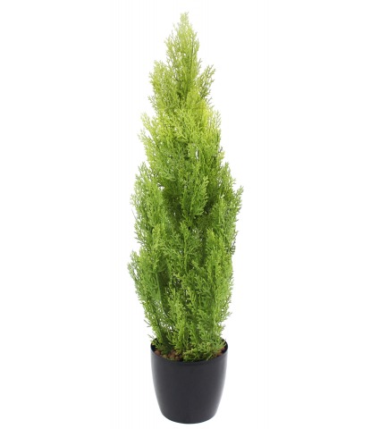 Cyprès artificiel arbuste