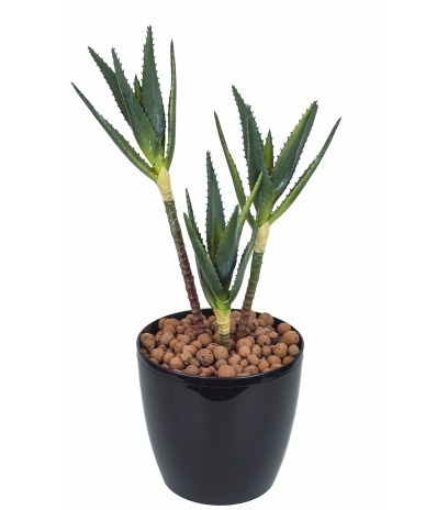 Aloe cactus artificiel trois pieds