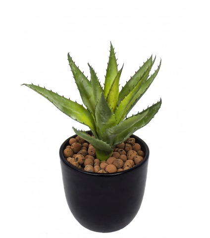 Petit aloé véra artificiel