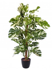 Grand philodendron artificiel vert et blanc