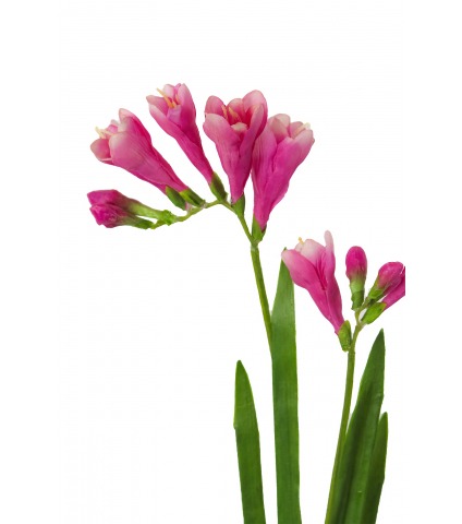 Freesia artificiel fuchsia