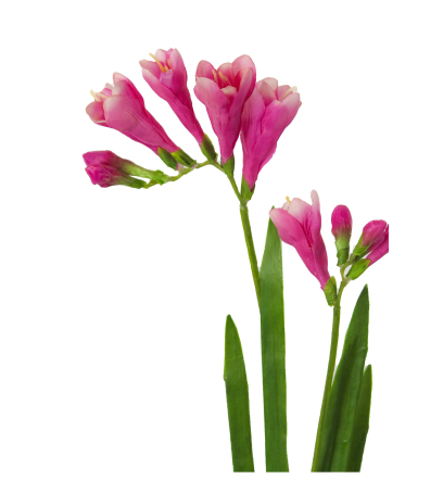 Freesia artificiel fuchsia