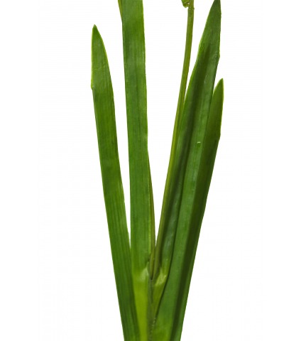 Freesia artificiel fuchsia