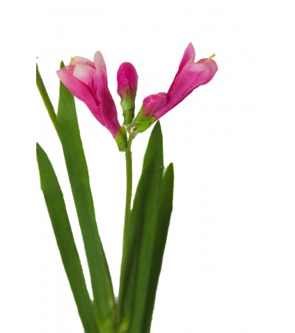 Freesia artificiel fuchsia
