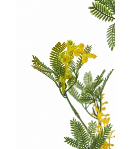 Branche de mimosa artificielle