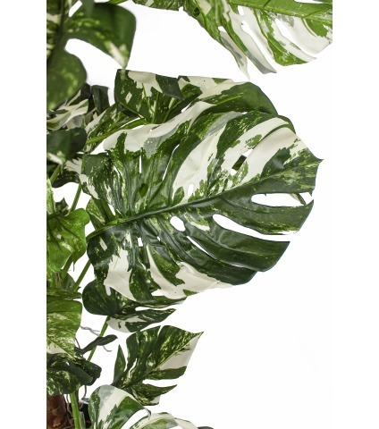 Grand philodendron artificiel vert et blanc