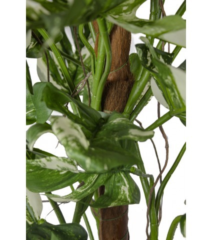 Grand philodendron artificiel vert et blanc