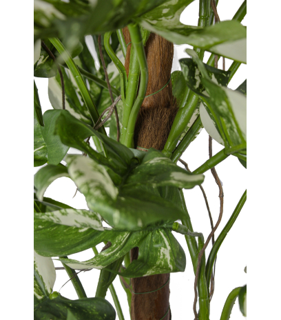 Grand philodendron artificiel vert et blanc