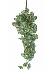 Chute de péperomia d'argent artificiel