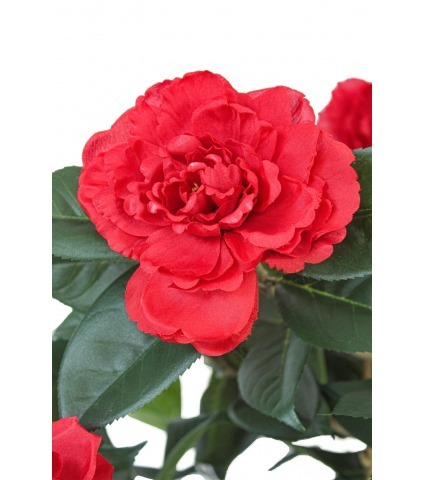 Petit camélia rouge artificiel